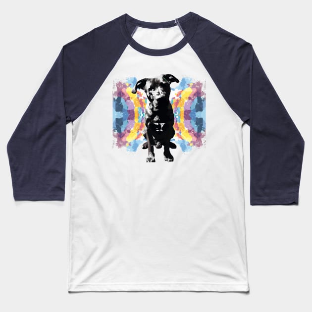 Black Mouth Cur Dog Artwork Baseball T-Shirt by Furrban